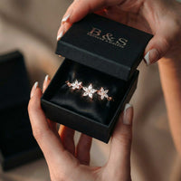 Thumbnail for Les Fleurs, vue 12